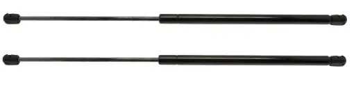 Aerogenics Heavy Duty Liftgate Struts - For Honda Element Ladder 1