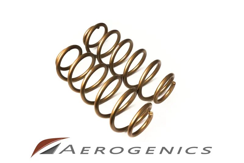 Aerogenics X Swift / Heavy Duty Rear Springs - Tesla Model 3 / Model Y 1