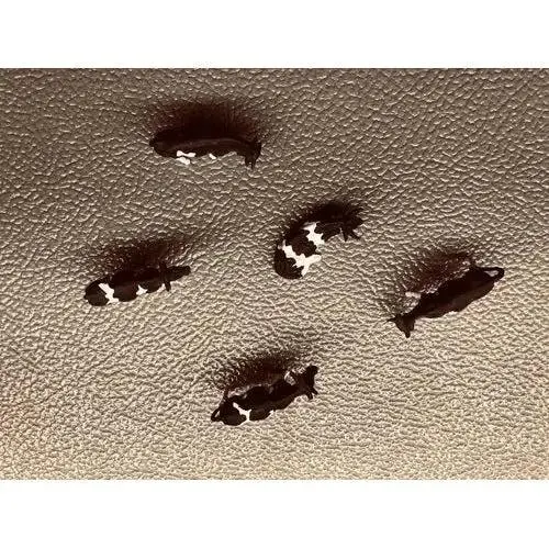Cows For Your Ho Scale Farm (5 Count) - (Used) 1