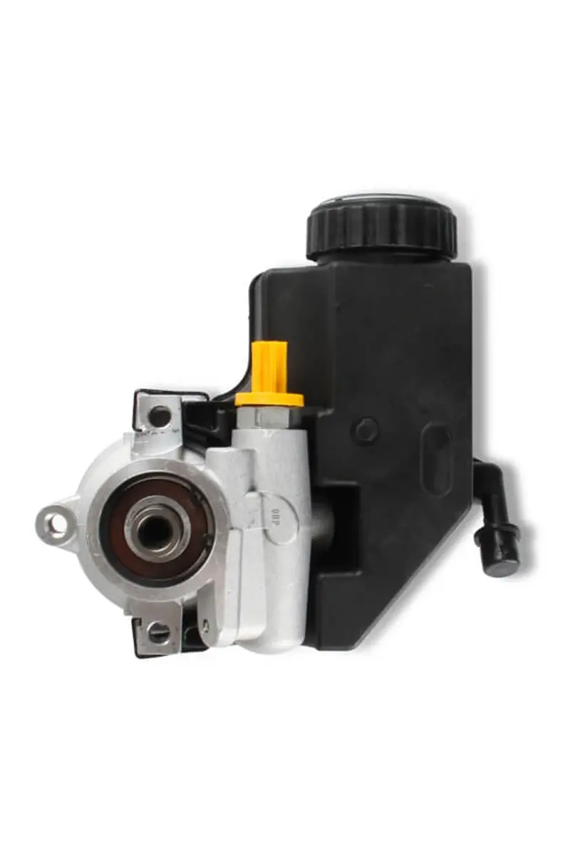 Holley 198-104 Power Steering Pump 1
